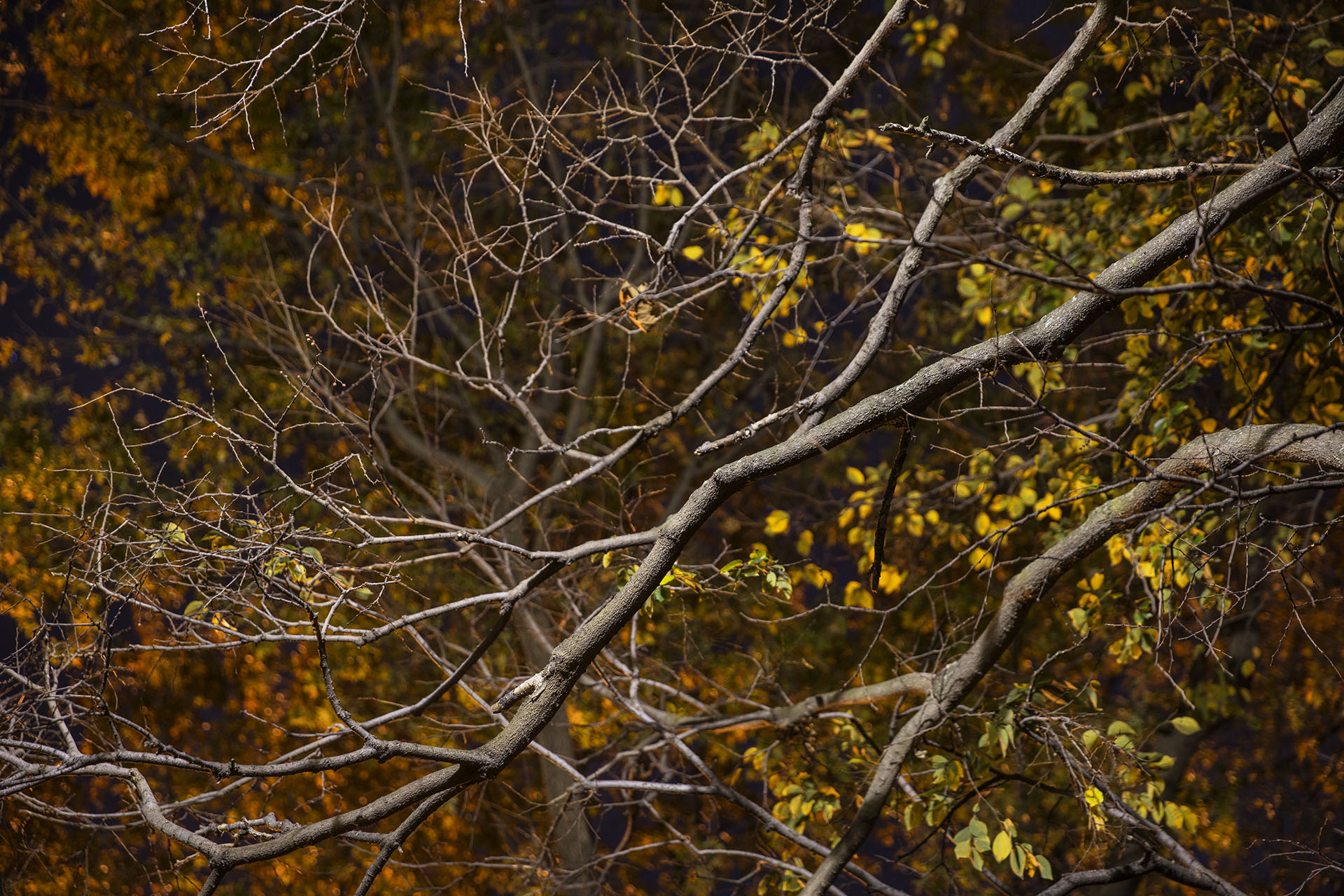 030B2766-print-14x21