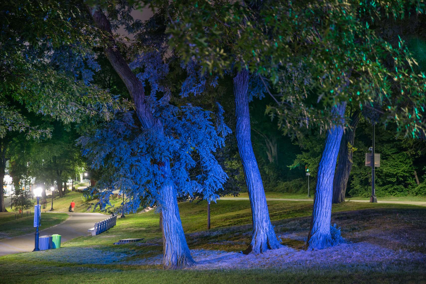 Night Trees 110th Street-7