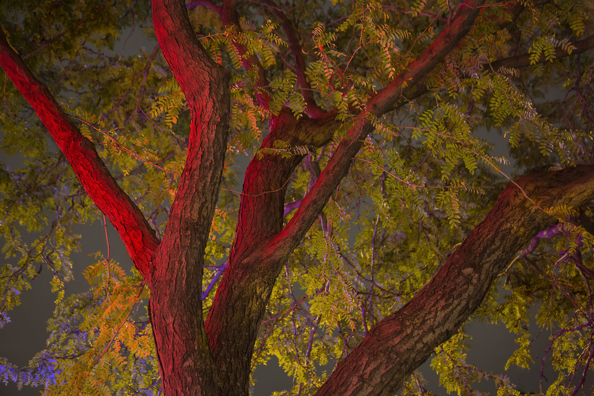 SueB_141104_6717-print-14x21-1